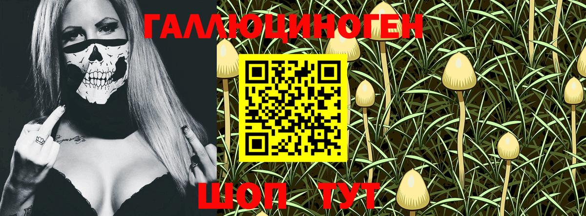 Галлюциногенные грибы Cubensis  Вход с VPN  Псилоцибиновые грибы Psilocybe  Свободный 